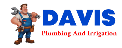 Trusted plumber in FOREST